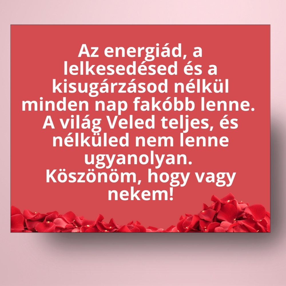 no_napi_uveg_cimke_piros_alapon_rozsakkal_bor_pezsgo_fekvo_hatcimke