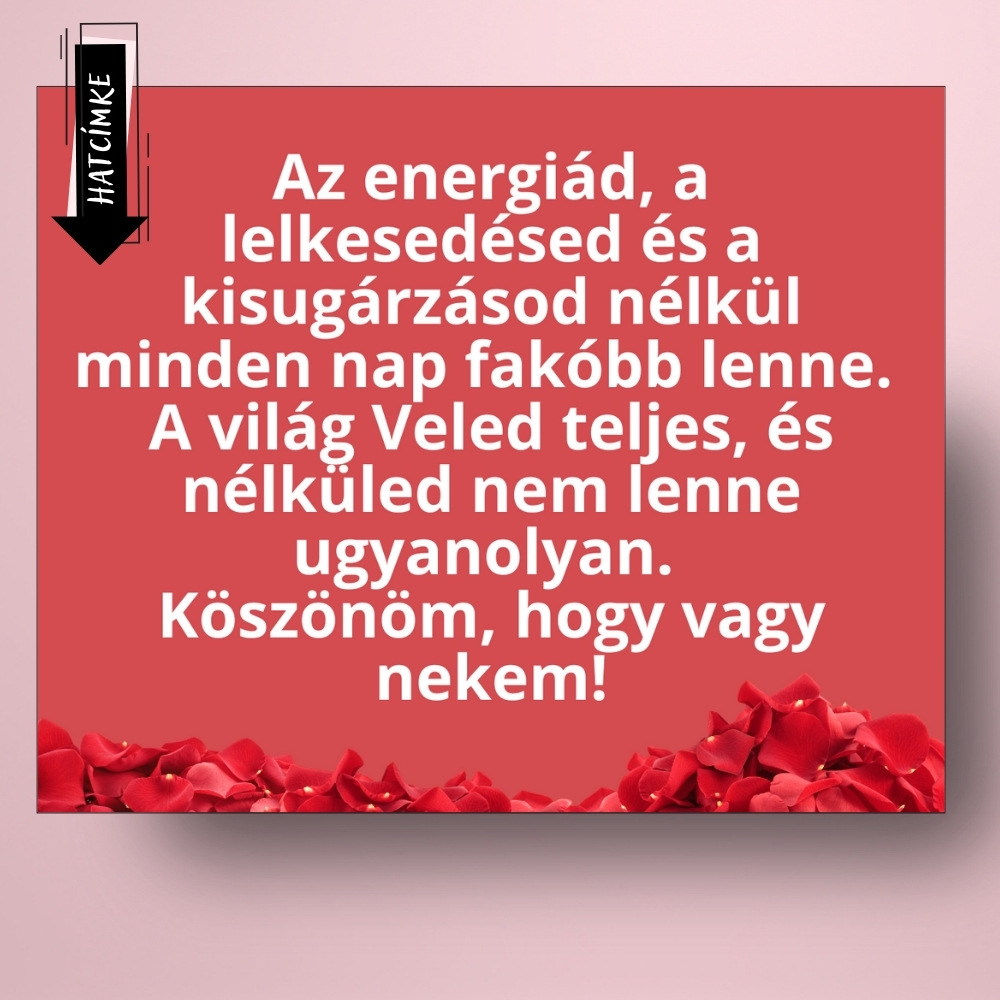 no_napi_uveg_cimke_piros_alapon_rozsakkal_bor_pezsgo_fekvo_hatcimke_cimsor